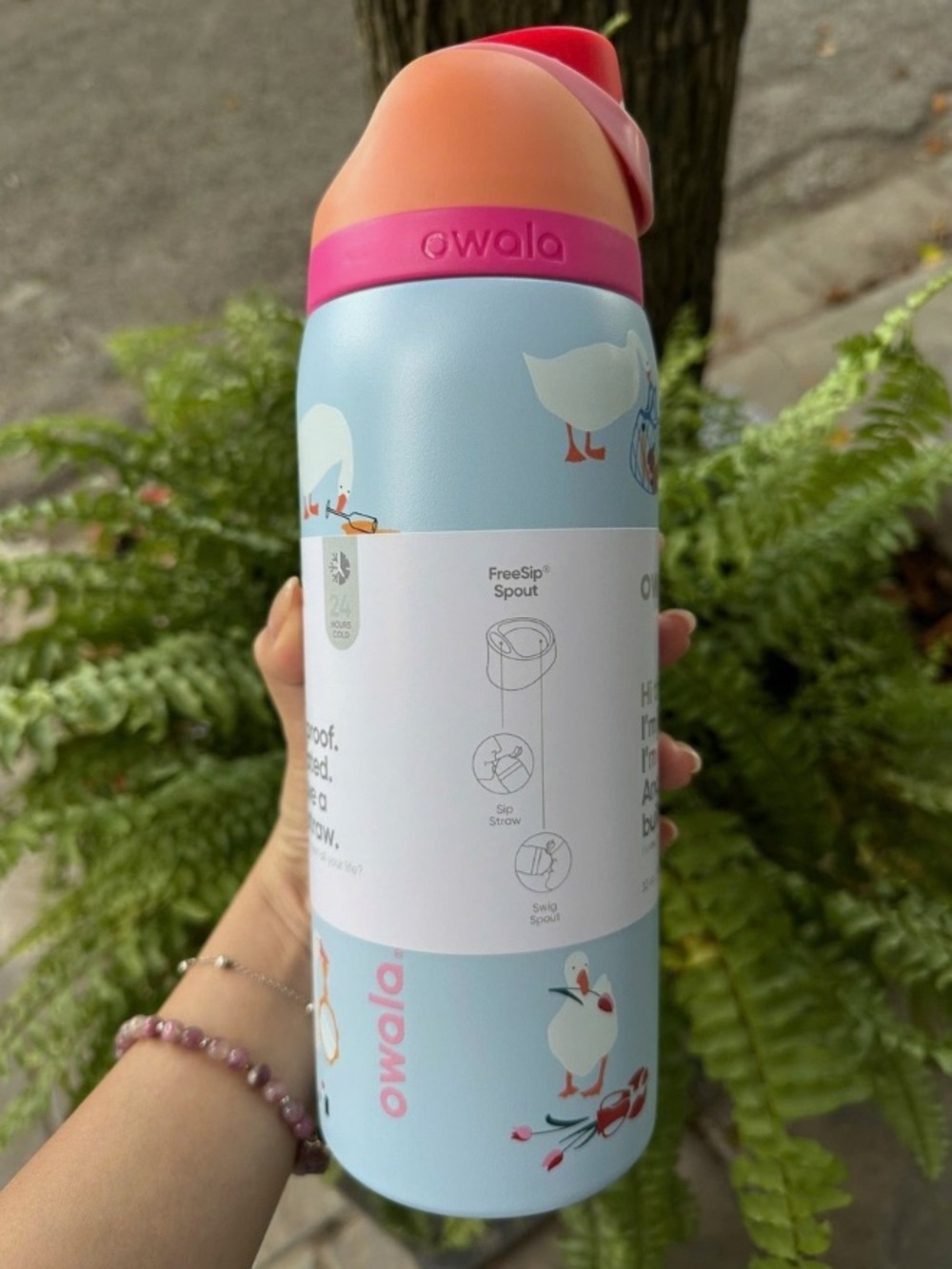 Owala Freesip 32oz Silly Goose Limited Edition with Box